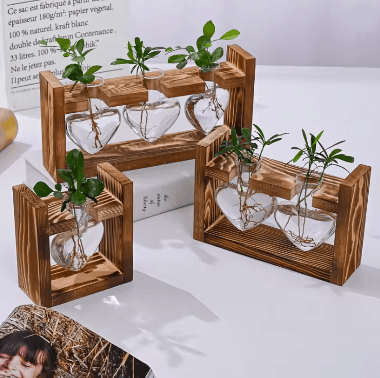 HeartBloom Glass Vase with Wooden Stand for Hydroponic Plant Propagation and Home Decor