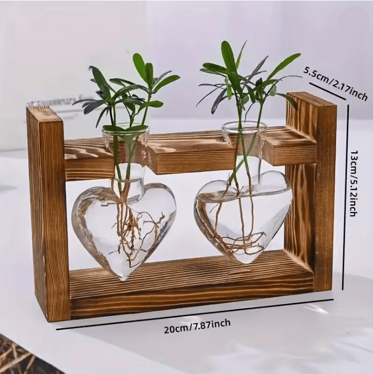 HeartBloom Glass Vase With Wooden Stand For Hydroponic Plant Propagation And Home Decor 3