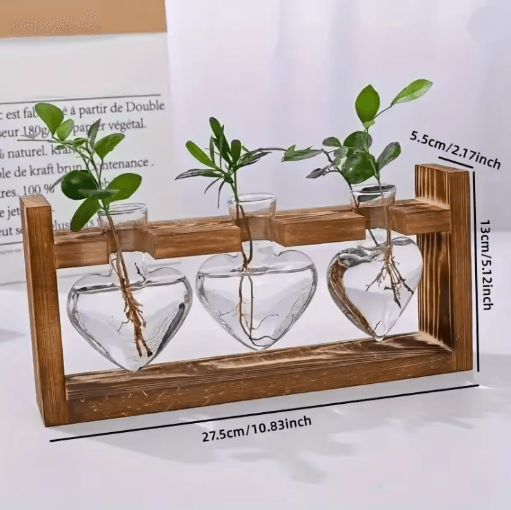 HeartBloom Glass Vase With Wooden Stand For Hydroponic Plant Propagation And Home Decor 4