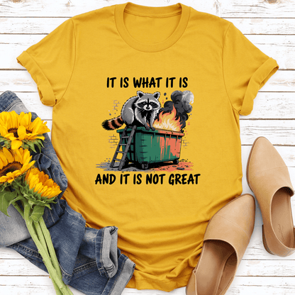 It Is What It Is And It Is Not Great Tee