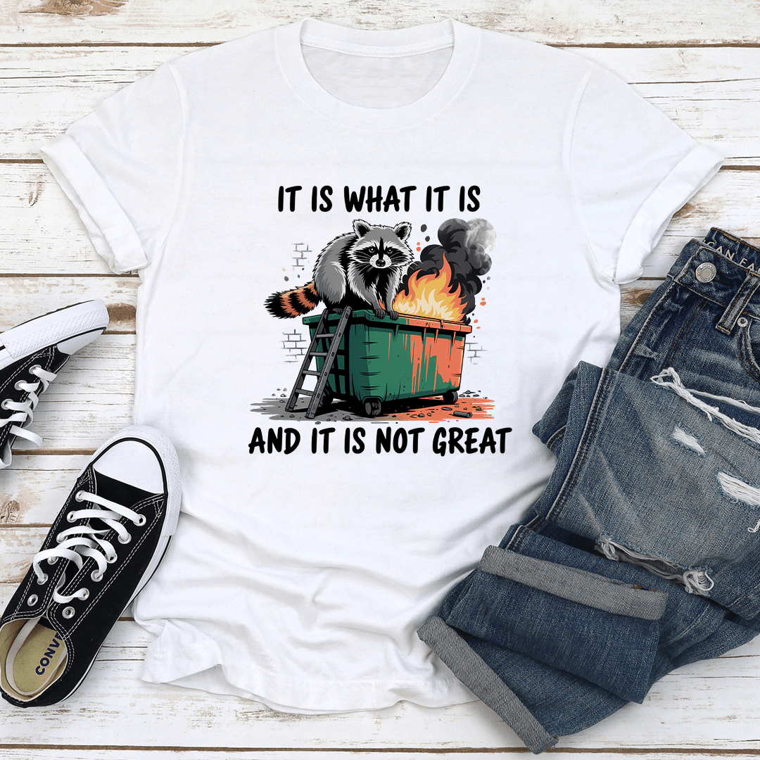 It Is What It Is And It Is Not Great Tee 2