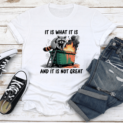 It Is What It Is And It Is Not Great Tee 2
