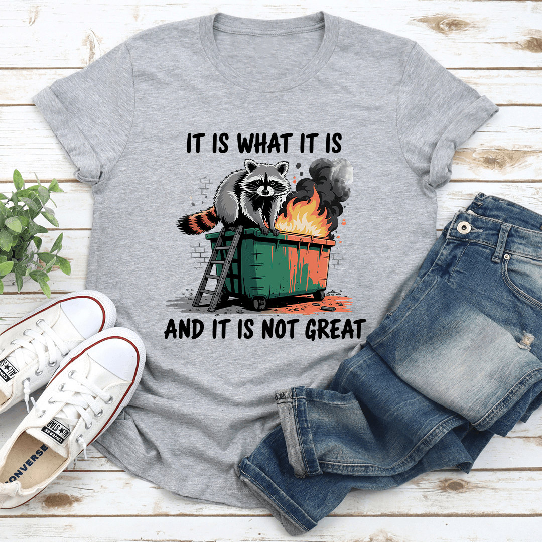 It Is What It Is And It Is Not Great Tee 3