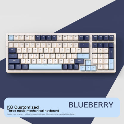 Gasket Muffler Structure Mechanical Keyboard, Tri Mode Wireless Connection, Full Key Hot Swap, 18 Lighting Effects