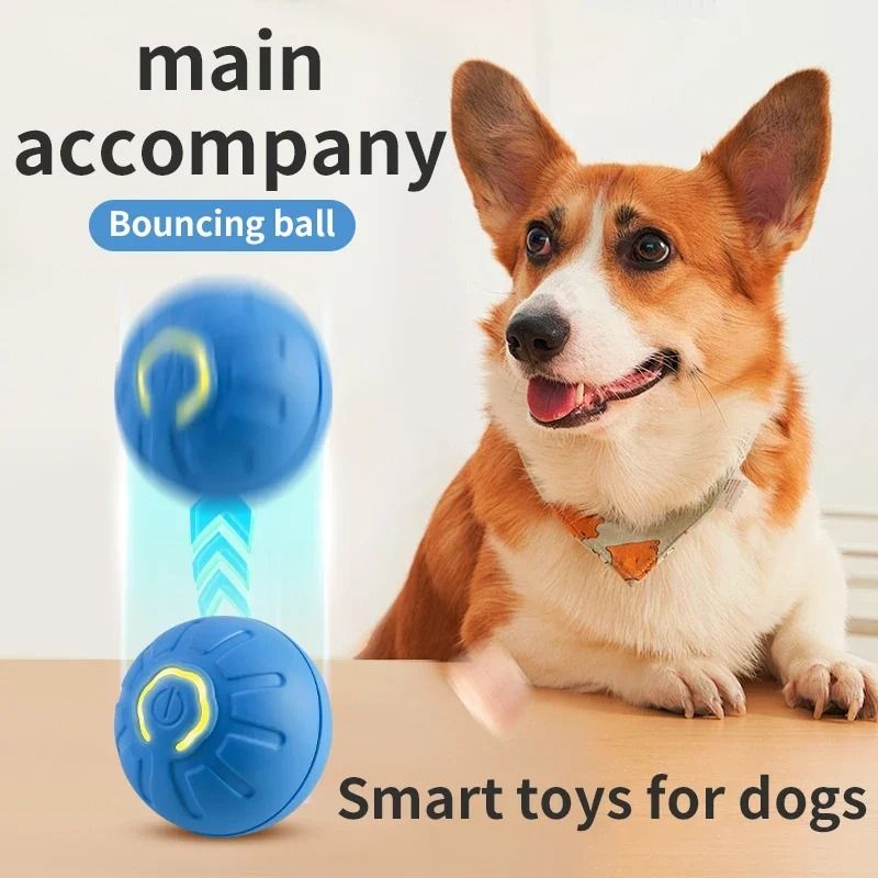 Smart Interactive Pet Ball Toy for Dogs and Cats