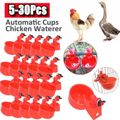 Automatic Poultry Drinking Cups – Easy Install Chicken & Duck Water Dispenser System
