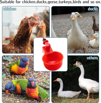 Automatic Poultry Drinking Cups  Easy Install Chicken  Duck Water Dispenser System 3