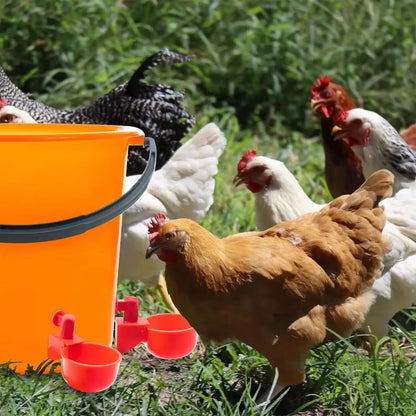 Automatic Poultry Drinking Cups  Easy Install Chicken  Duck Water Dispenser System 4