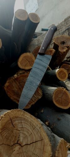 Professional 8 Handmade Damascus Chef Knife  256 Layers Forged Kitchen Blade 2