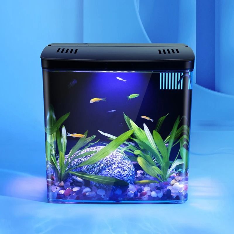 Mini Fish Tank with Self Circulating Filter System for Living Room or Desktop