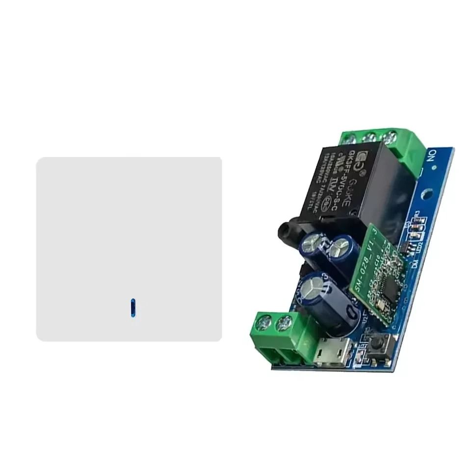 Smart WiFi Relay Switch Module With Voice And App Control 9