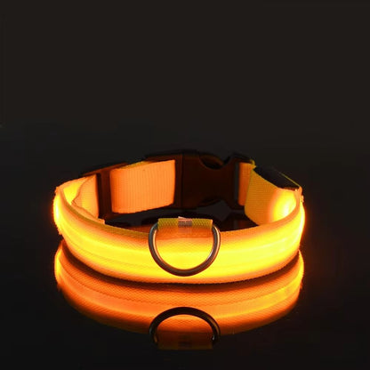 Nylon LED Glow Dog Leash  Collar Set  Night Safety Reflective LightUp Pet Gear For Walks After Dark 10
