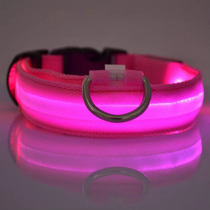 Nylon LED Glow Dog Leash  Collar Set  Night Safety Reflective LightUp Pet Gear For Walks After Dark 3