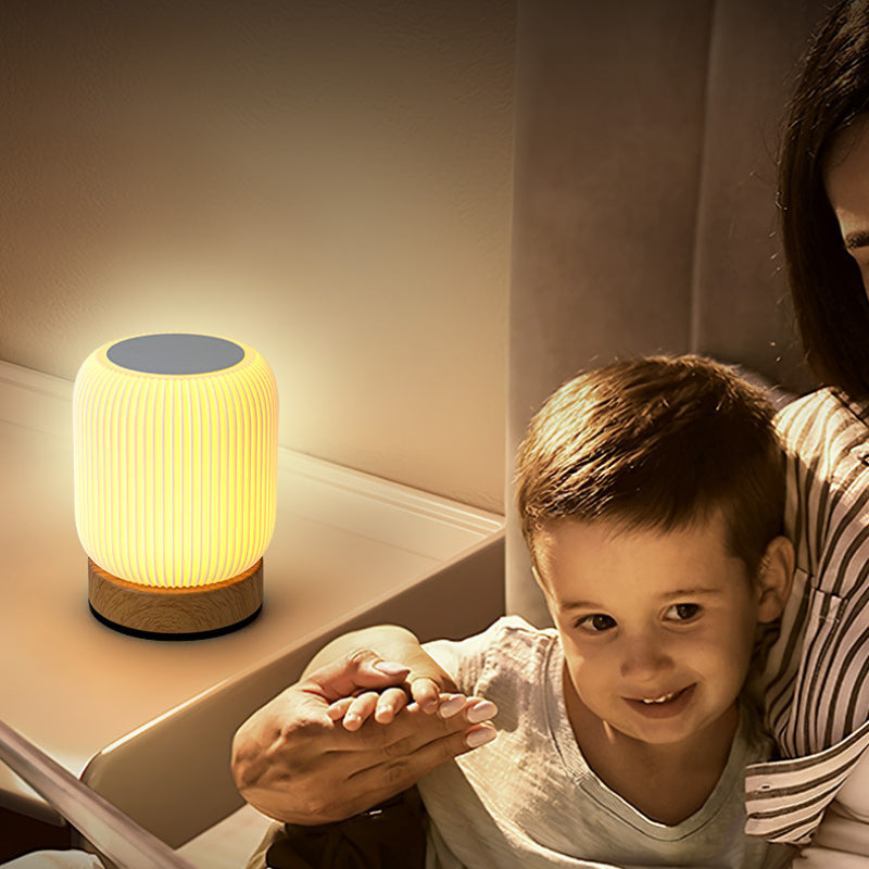 Portable, Rechargeable Table Light, Dimmable Touch Bedside Lamp for Bedroom, Living Room, with Adjustable Temperatures