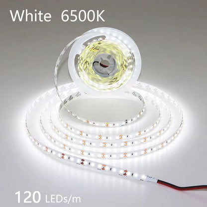 LumiFlex 2835 LED Strip Light  5M Flexible Waterproof Light Strip DC12V24V 3001200 LEDs Cuttable Ho 5