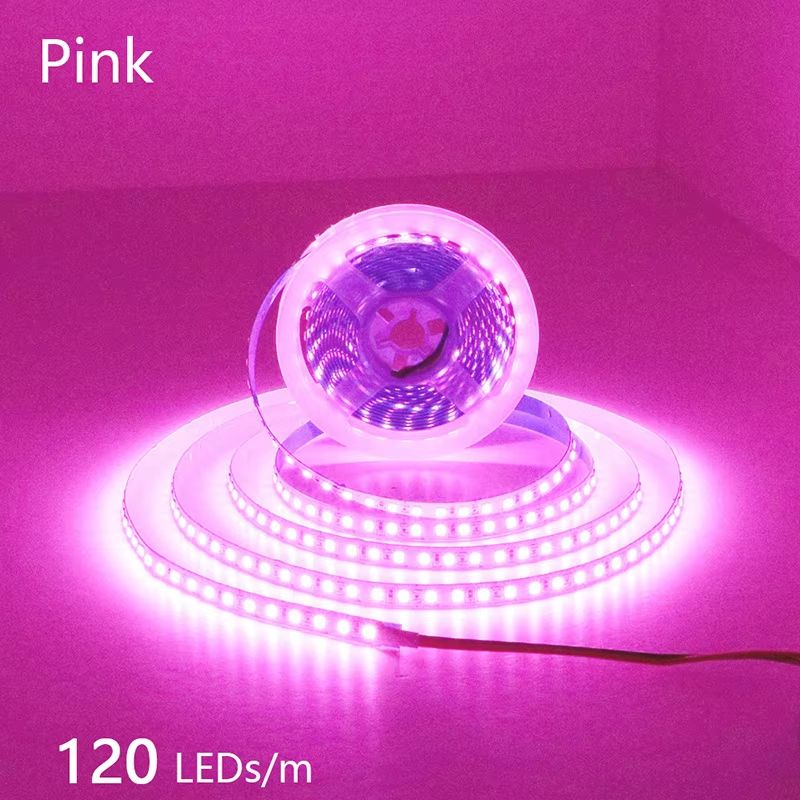 LumiFlex 2835 LED Strip Light  5M Flexible Waterproof Light Strip DC12V24V 3001200 LEDs Cuttable Ho 22