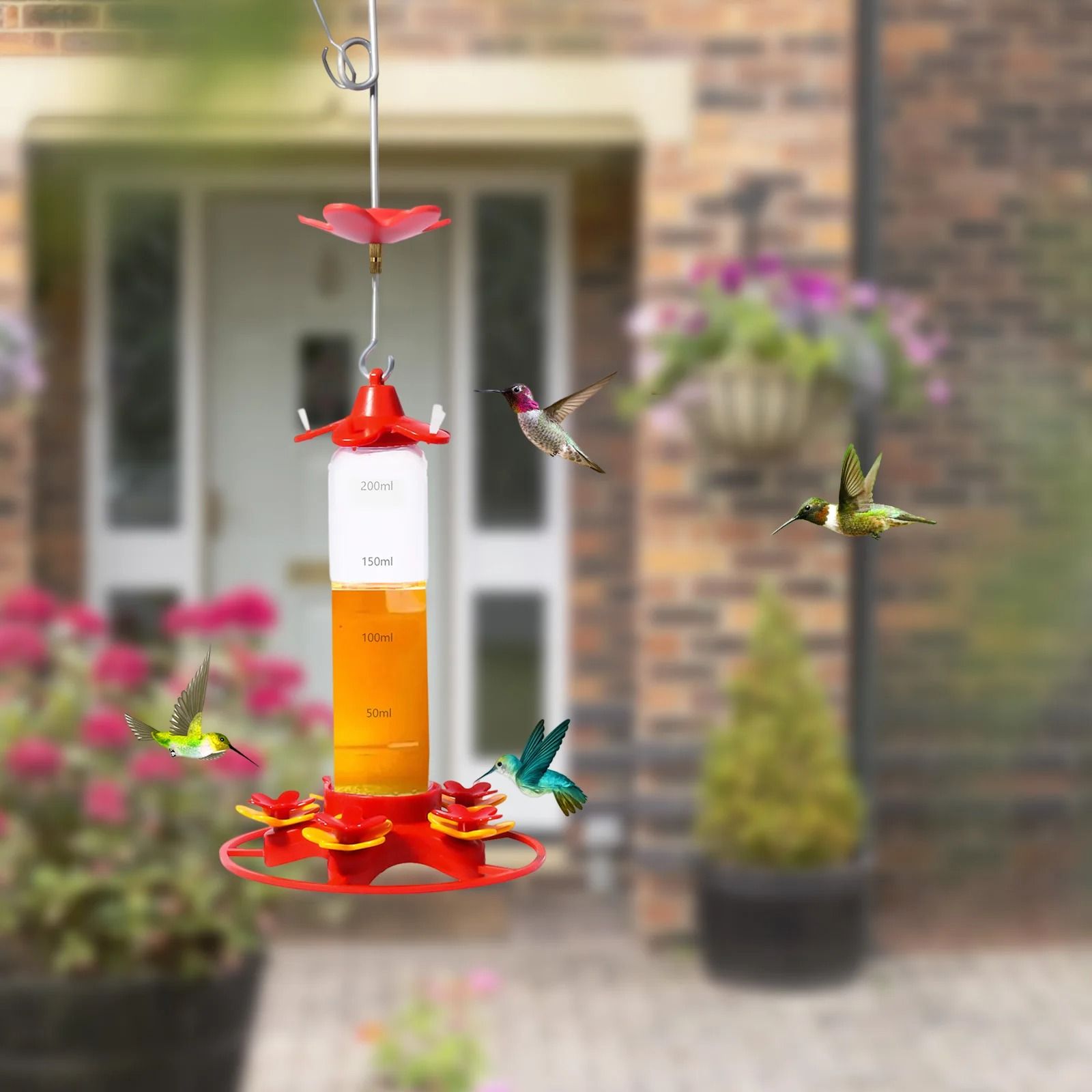 Hanging Anti Ant Leakproof Hummingbird Bird Feeder 2