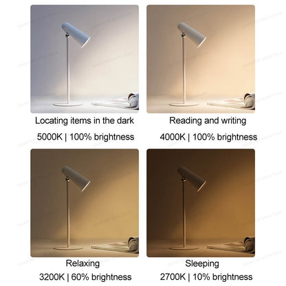 Flexible Rechargeable Lamp 3 In 1 Desk And Clamp Lamp USB C 4 Lighting Modes 3