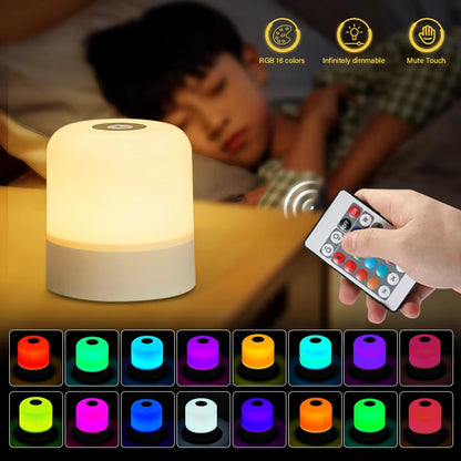 Rechargeable LED Table Lamp, Touch Control, Dimmable Bedside Night Light, with Remote, Modern Room Decor