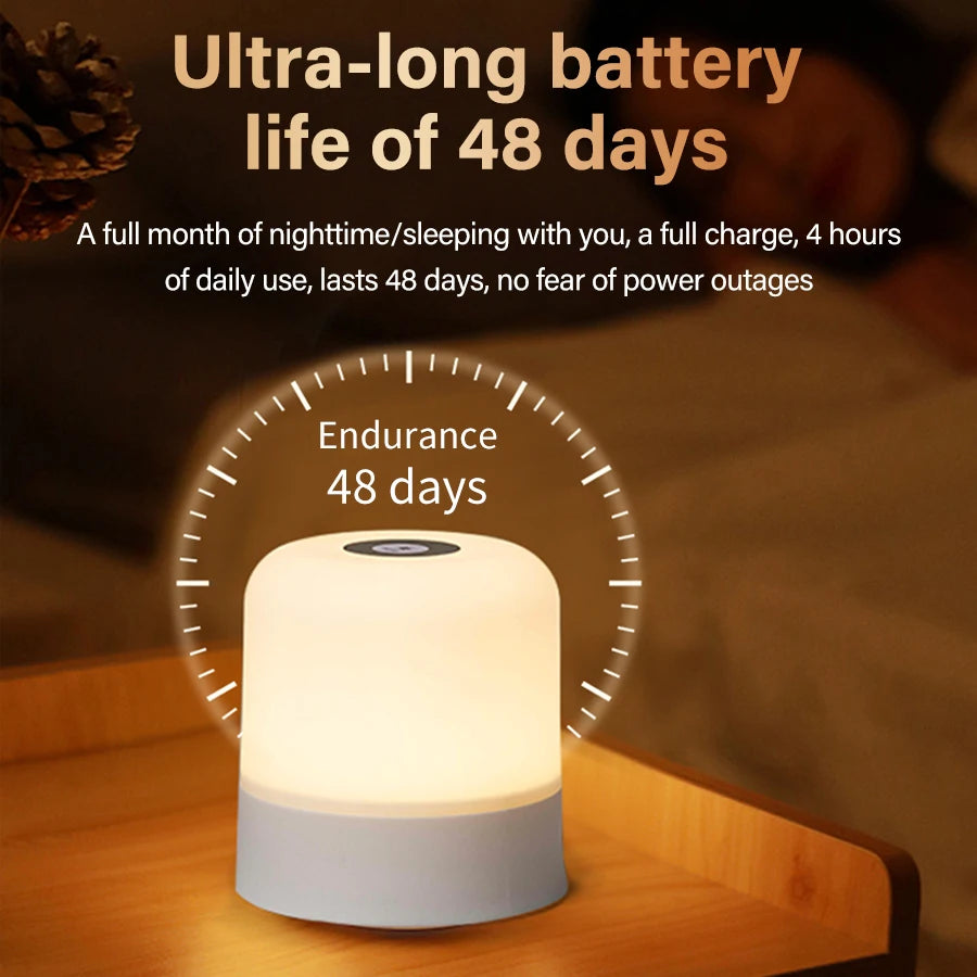 Rechargeable LED Table Lamp, Touch Control, Dimmable Bedside Night Light, with Remote, Modern Room Decor