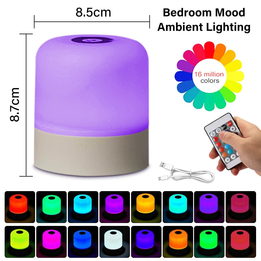 Rechargeable LED Table Lamp, Touch Control, Dimmable Bedside Night Light, with Remote, Modern Room Decor