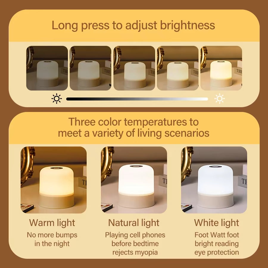Rechargeable LED Table Lamp, Touch Control, Dimmable Bedside Night Light, with Remote, Modern Room Decor