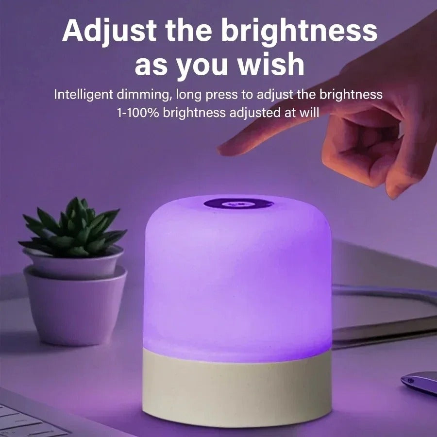 Rechargeable RGB Table Lamp, Dimmable Touch Night Light, with Remote Control for Bedroom and Living Room