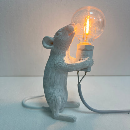 Modern Animal Desk Lamp, Cute Resin Night Light, Mouse Cat Squirrel Design, Home Decor Lighting