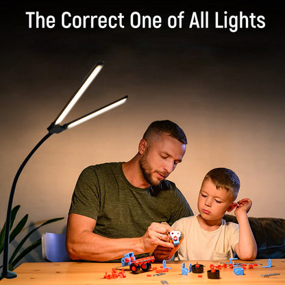 Flexible Adjustable Double Head LED Desk Lamp, Stepless Dimming, 3 Color Modes, Eye Caring Home Office Reading Light, PC