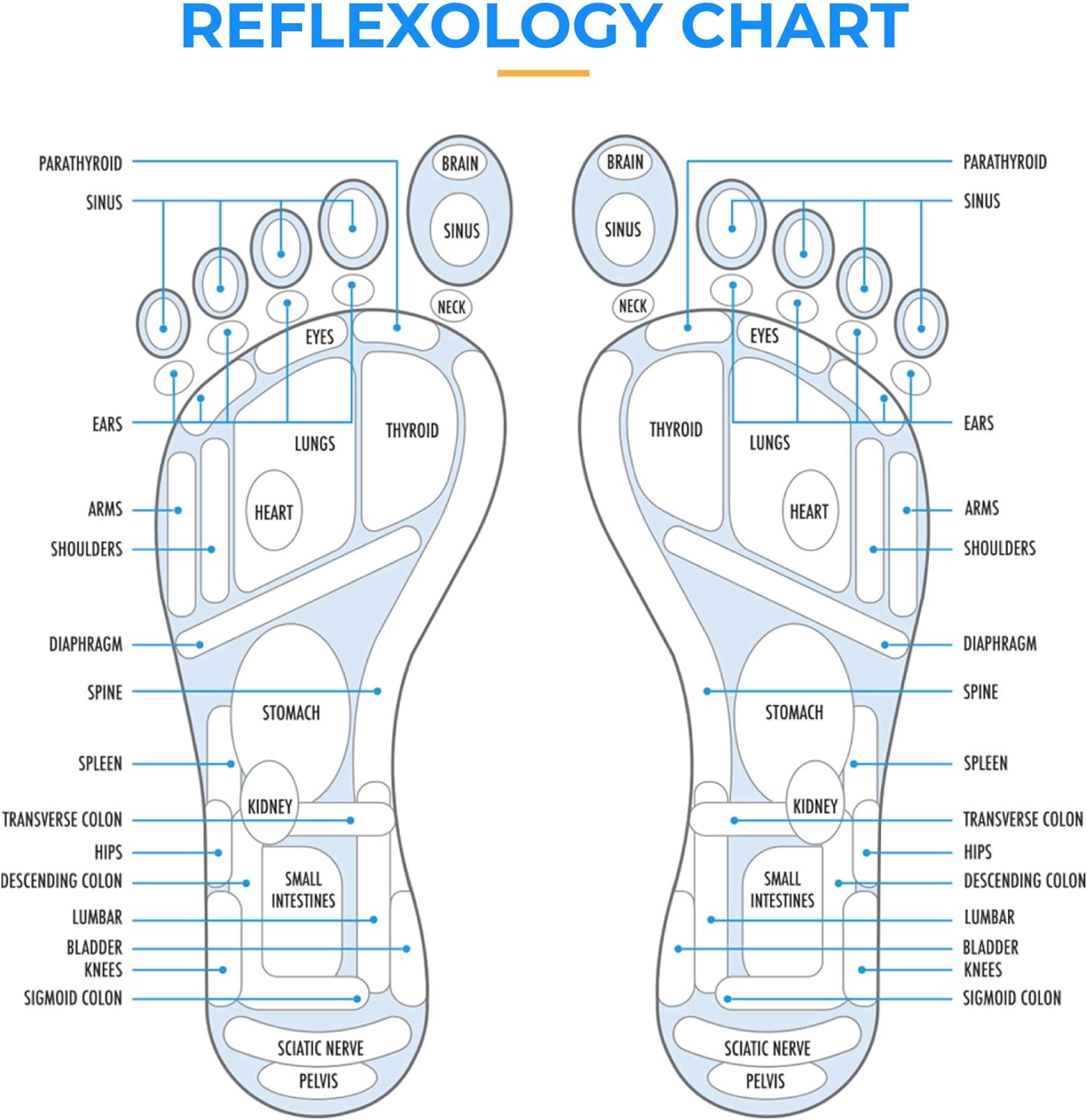 Reflexology Acupressure Mat, Foot Yoga Massage Board, Toe Pressure Plate, Meridian Jogging Massage Pad, Stone Therapy