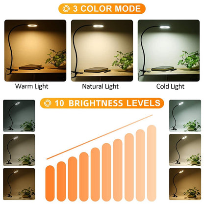 USB Book Light, LED Desk Clip Lamp, 360 Flexible Gooseneck, Brightness Adjustable Reading Table Light