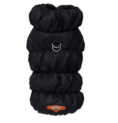 PawHaven Soft Padded Winter Dog Jacket For Small And Medium Pets 2
