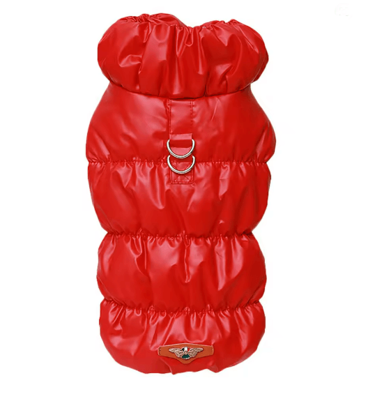PawHaven Soft Padded Winter Dog Jacket For Small And Medium Pets 1