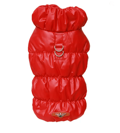 PawHaven Soft Padded Winter Dog Jacket For Small And Medium Pets 1