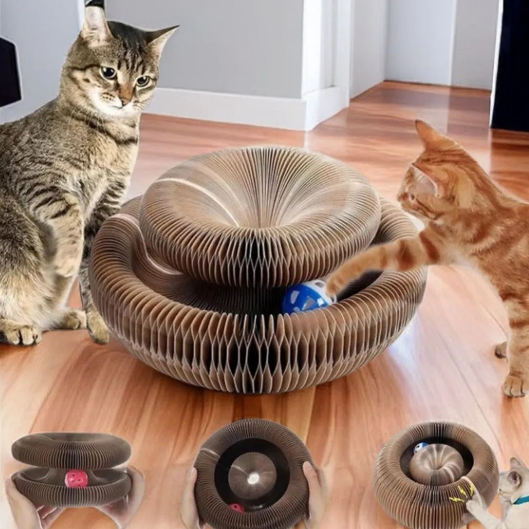Magic Cat Scratch Organ Board Toy With Rolling Ball