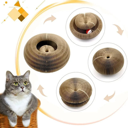 Magic Cat Scratch Organ Board Toy With Rolling Ball 1
