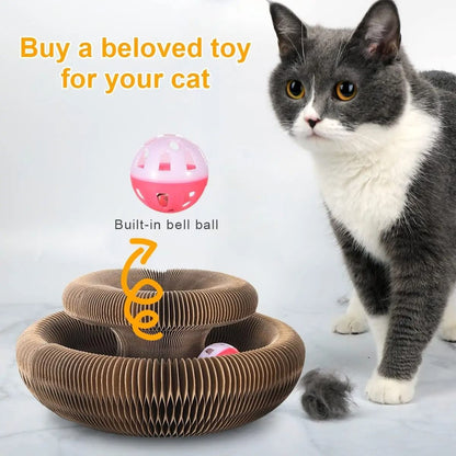 Magic Cat Scratch Organ Board Toy With Rolling Ball 2
