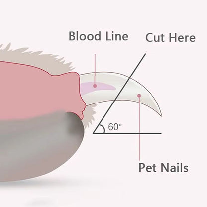 Professional LED Pet Nail Clippers  Illuminated Grooming Scissors For Dogs Cats  Small Animals 4