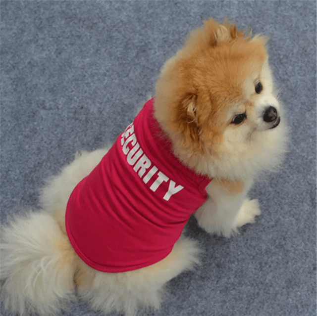 PawSecure Summer Pet Vest For Small Dogs And Cats 1