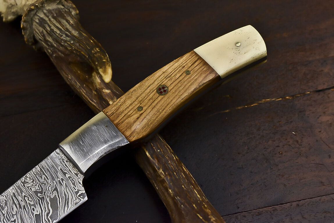 Professional Damascus Steel Kitchen Knife  Wood Handle  Leather Protector 1