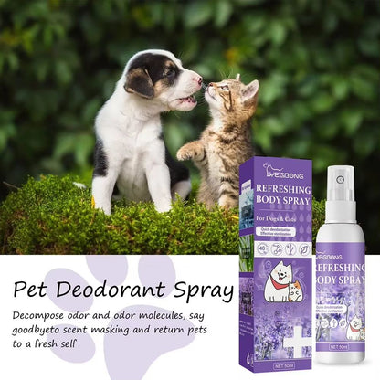 Lavender Bliss Pet Deodorizing Spray  LongLasting Dog Deodorizer For FreshSmelling Pets 3