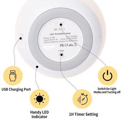 Portable Egg Shape Night Light USB Rechargeable Changing RGB Remote And Touch Control Dimmable Ambi 6