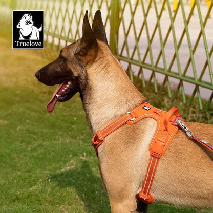 Adjustable Reflective No Pull Dog Harness for Safe Walking