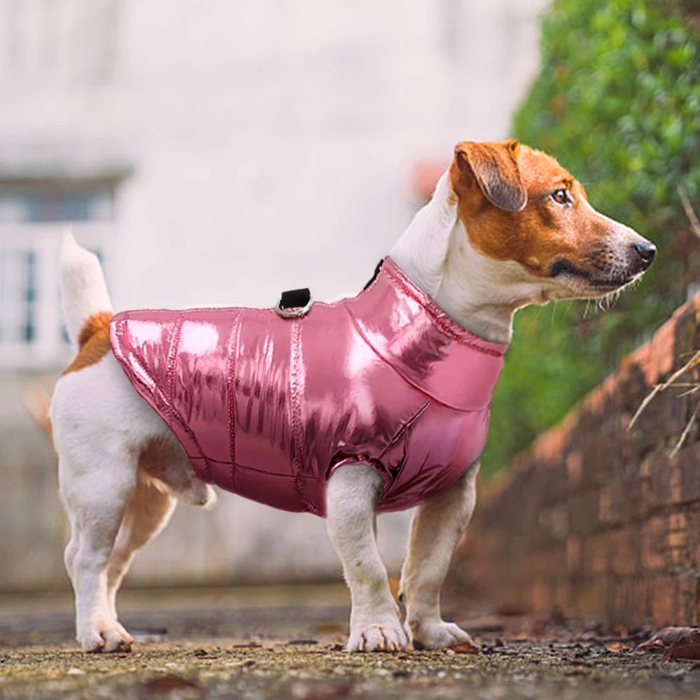 Waterproof Winter Dog Vest With Reflective Harness 5