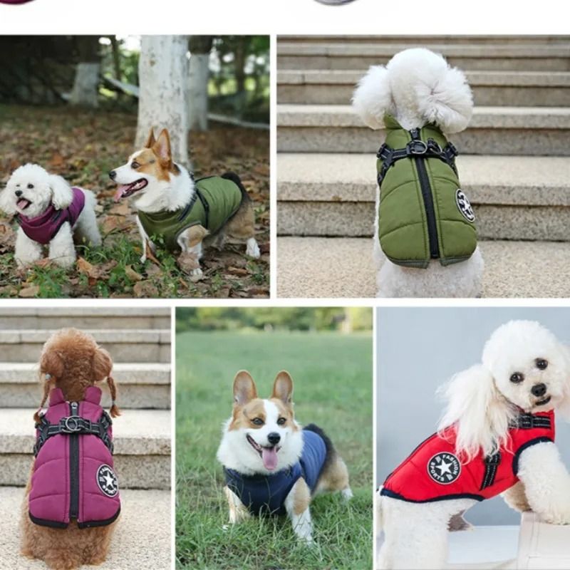 Waterproof Winter Dog Jacket With BuiltIn Harness 5