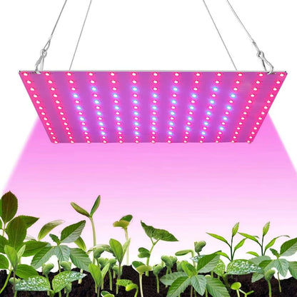 LED Full Spectrum Plant Grow Light 1000W2000W For Indoor Hydroponics 1