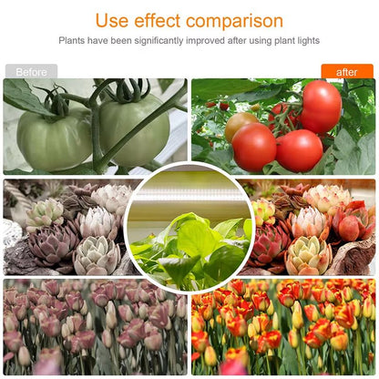 Indoor LED Grow Light With USB Timer  Full Spectrum Phyto Lamp For Plants 4