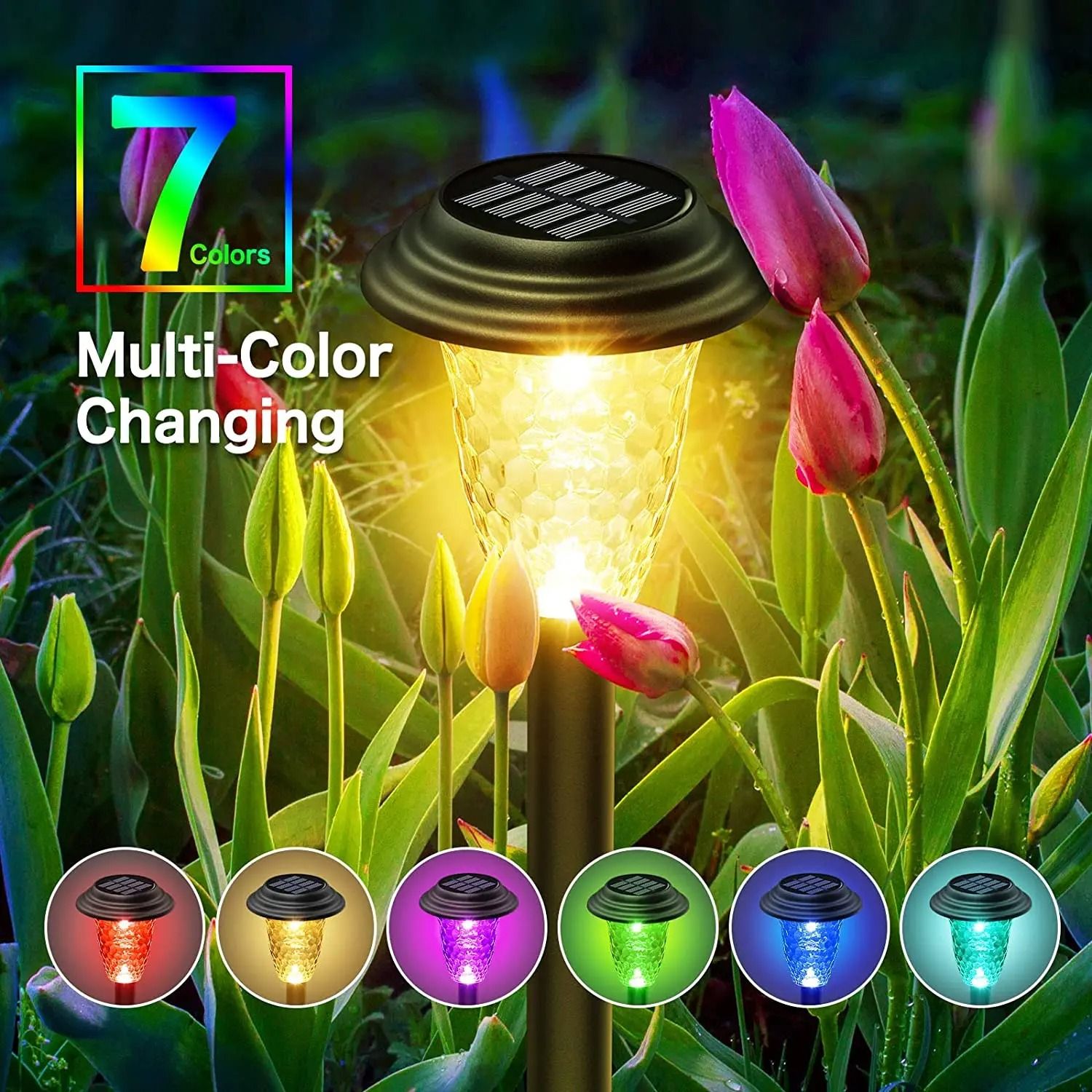 Outdoor Solar Pathway Lights With Color Changing LED 4
