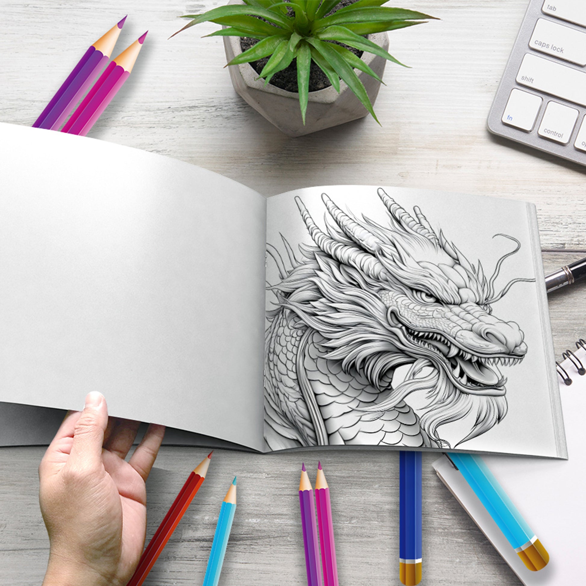 Dragon Coloring Book for Adults, Stress Relief Art Therapy, Fantasy Drawing and Painting Pages for Kids