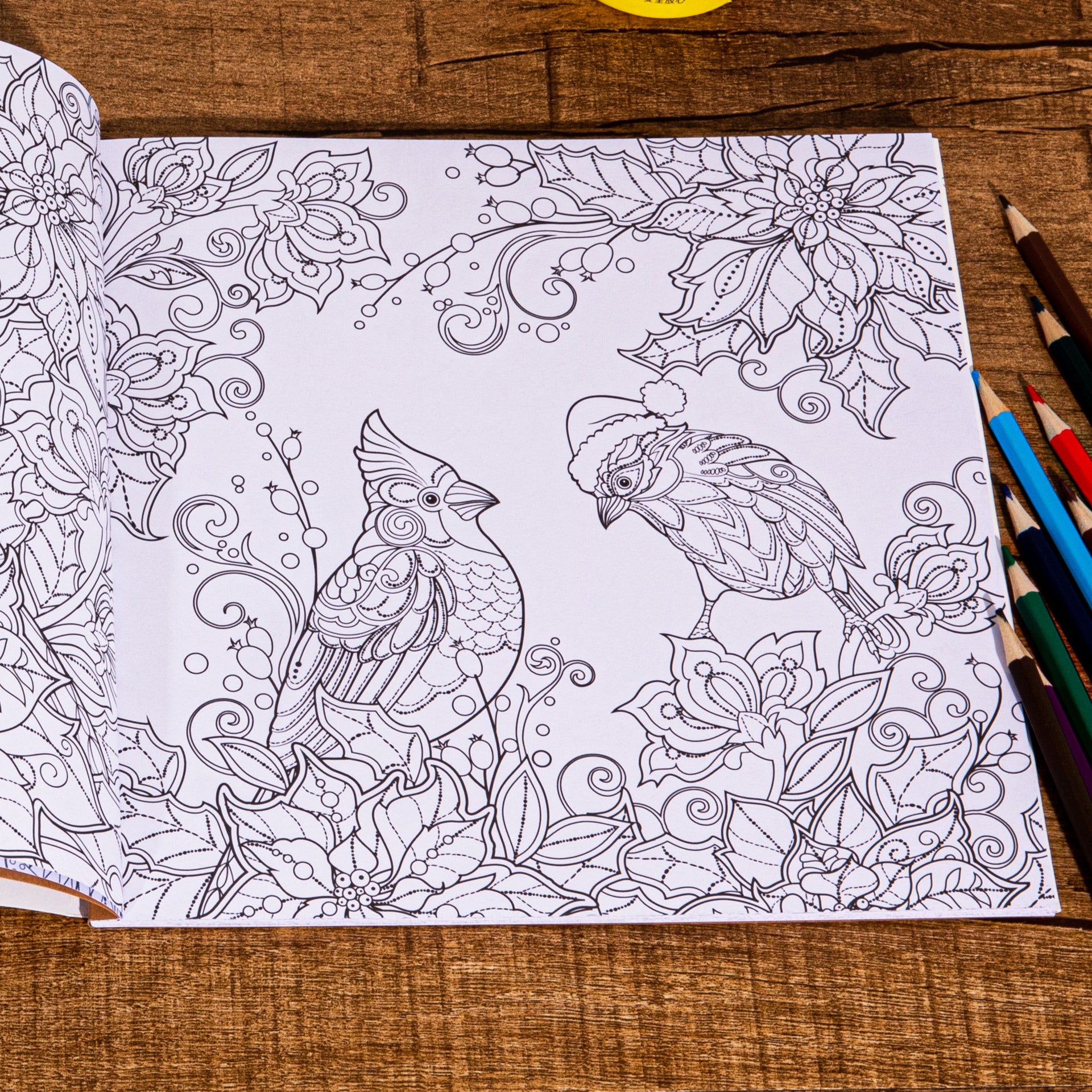 Magical Winter Coloring Book, for Stress Relief and Relaxation, Christmas and Winter Theme Graffiti Drawing Book